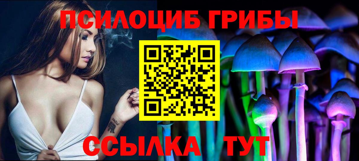 Псилоцибиновые грибы MAGIC MUSHROOMS  купить   Кореновск  Вход с VPN 